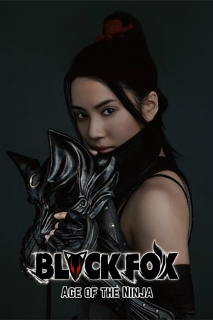 Black Fox: Age of the Ninja 2019 Hindi Dual Audio – 480p