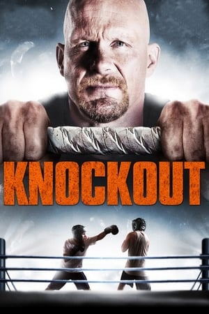 Born to Fight 2011 Hindi Dual Audio 300MB Movie Poster