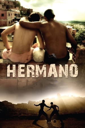 Hermano (2010) Hindi Dual Audio 300MB Movie Poster