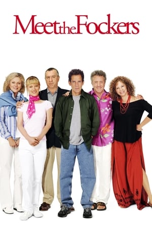 Meet the Fockers 2004 Hindi Dual Audio 350MB Movie Poster