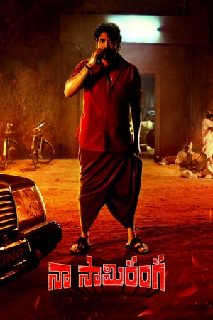Naa Saami Ranga 2024 Hindi – – Movie Poster