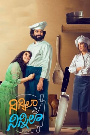 Ninnila Ninnila (2021) Hindi Movie – [400MB] Movie Poster