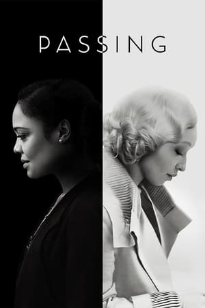 Passing 2021 Hindi Dual Audio 320MB Movie Poster