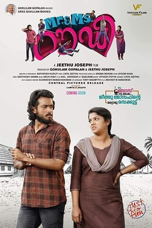 Rowdy 2019 Hindi Dubbed [770MB] Movie Poster