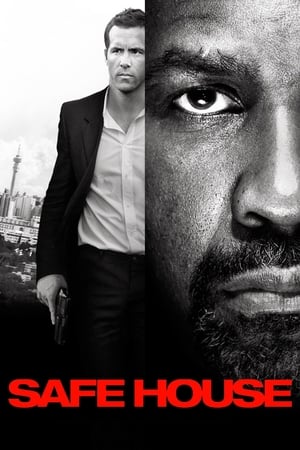 Safe House (2012) Hindi Dual Audio – Movie Poster