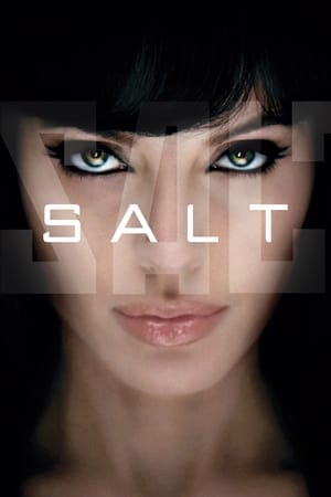 Salt (2010) Hindi Dual Audio 300MB Movie Poster