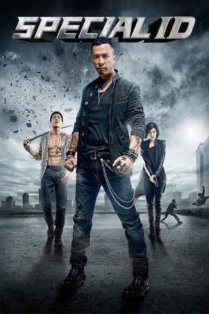 Special ID (2013) Hindi Dual Audio 300MB ESubs Movie Poster