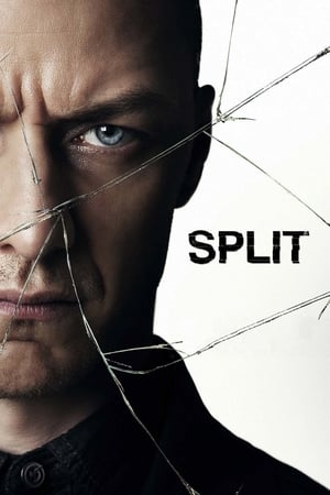 Split (2016) Hindi Dual Audio 400MB Movie Poster