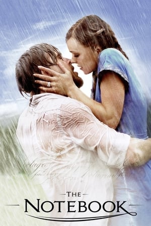The Notebook 2004 Dual Audio Hindi [200MB] Movie Poster