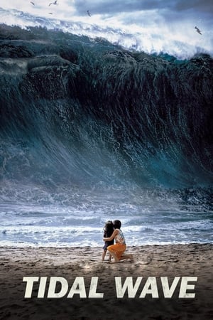 Tidal Wave (2009) Hindi Dual Audio [1GB] ESubs Movie Poster